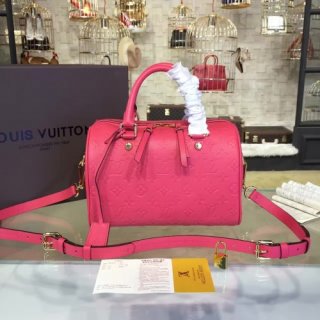 LOUIS VUITTON SPEEDY 25