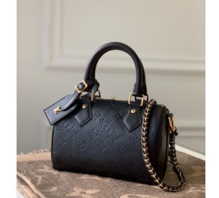 Louis Vuitton Speedy 20