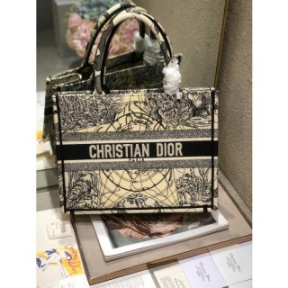 DIOR BOOK TOTE