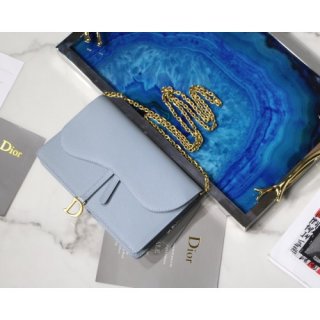 Dior Saddle Bag