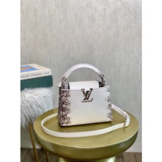 LOUIS VUITTON CAPUCINES MINI
